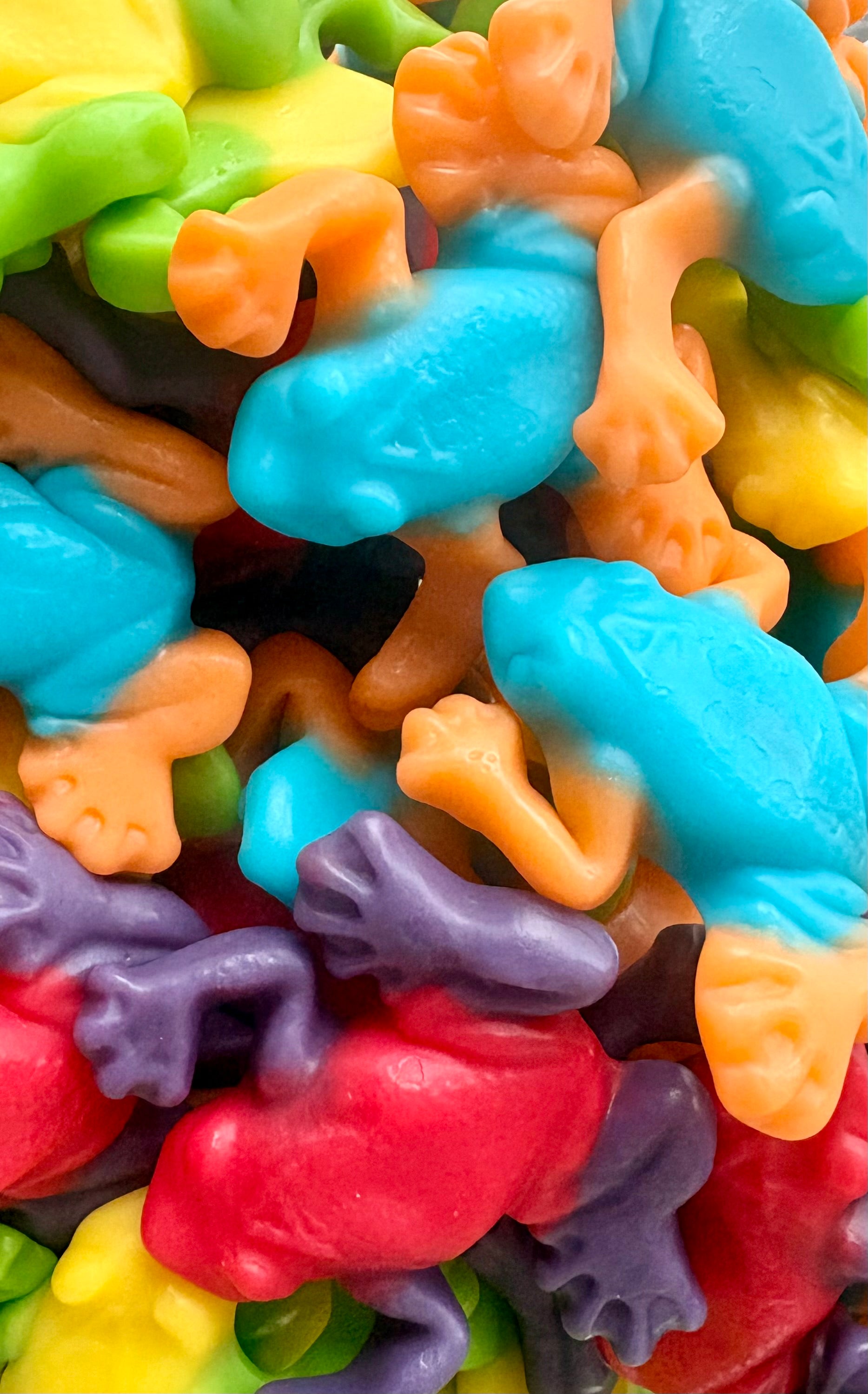 Grenouilles tropicales
