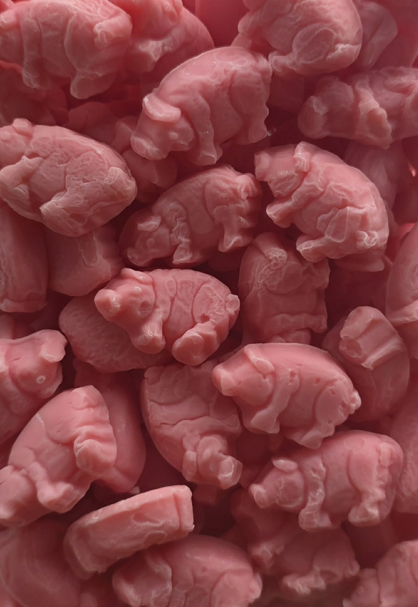 Cochons roses
