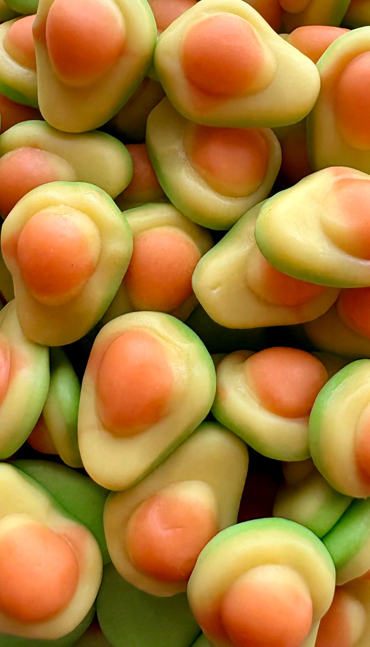 Avocat tropical