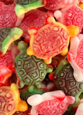 Tortues farcies